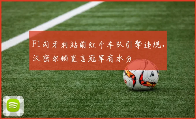 F1匈牙利站前红牛车队引擎违规,汉密尔顿直言冠军有水分